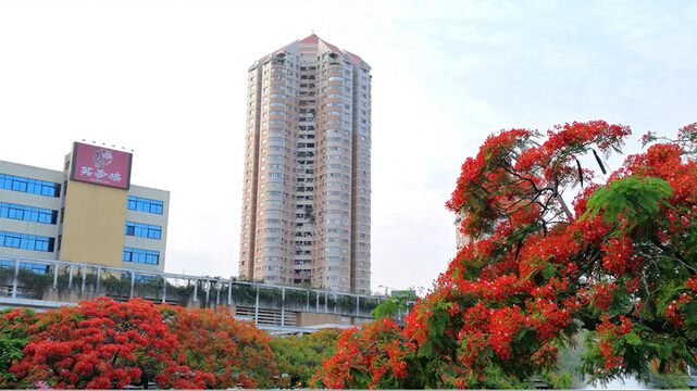 PCB廠之鳳凰花開(kāi)&ldquo;紅&rdquo;遍深圳